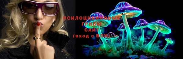 хмурый Волоколамск