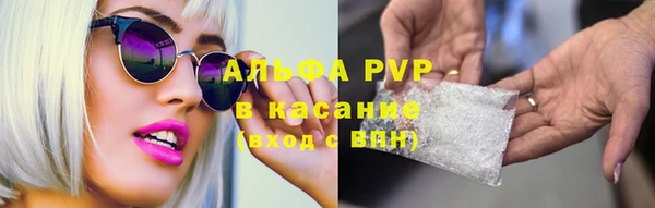хмурый Волоколамск
